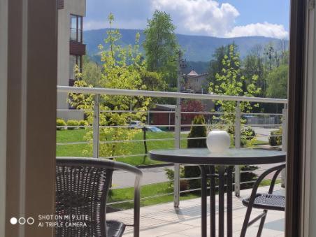 Luxapartament 3 - Z Duzym Tarasem I Garazem W Zeta Park Ustron Extérieur photo