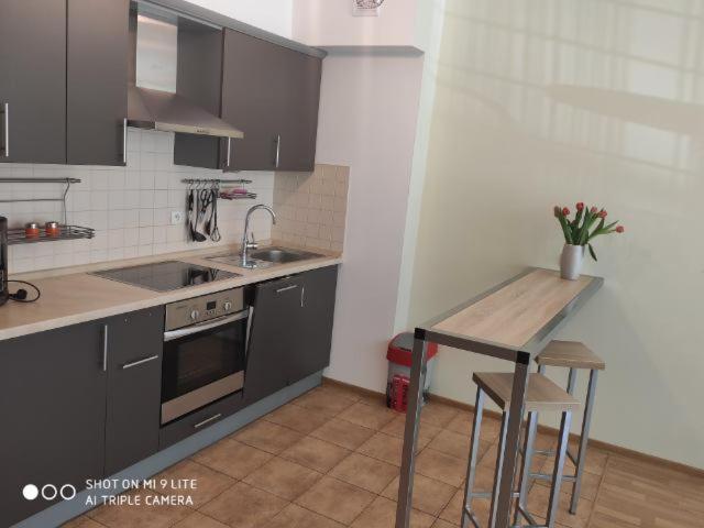 Luxapartament 3 - Z Duzym Tarasem I Garazem W Zeta Park Ustron Extérieur photo